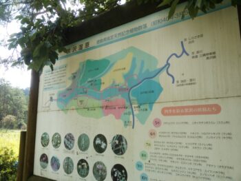 黒沢湿原