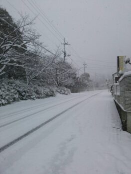 大雪！！