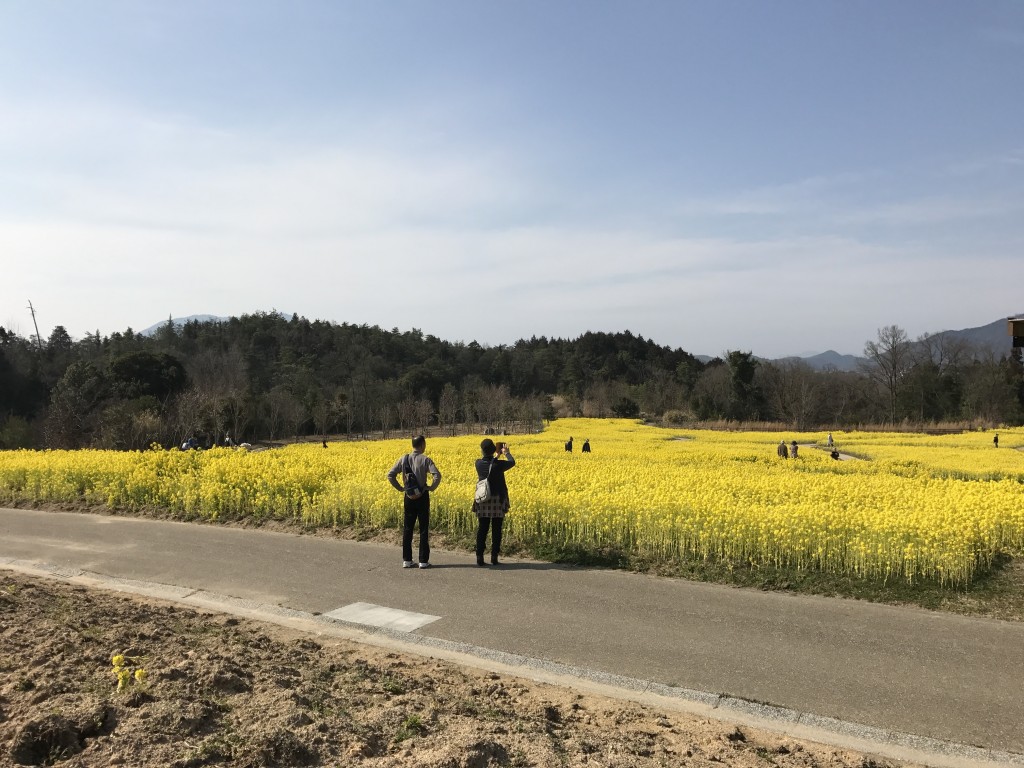 国営讃岐まんのう公園