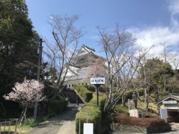 さくら　日和佐城