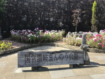 秋！色どりフェスタ