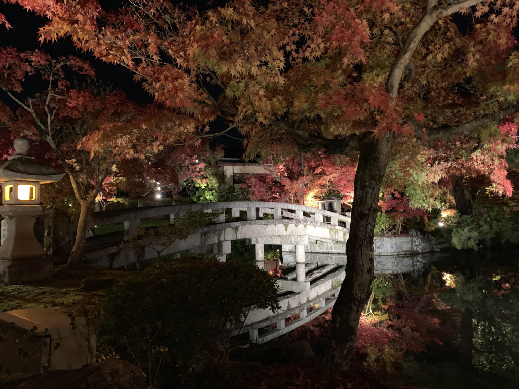 2018 京都の紅葉