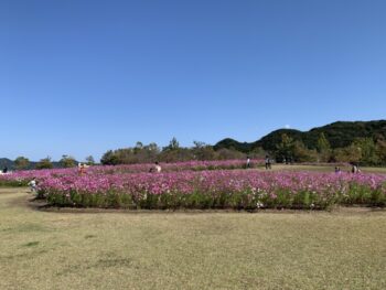 鳴門ウチノ海総合公園