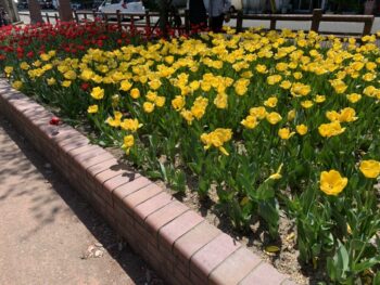 デ・レイケ公園