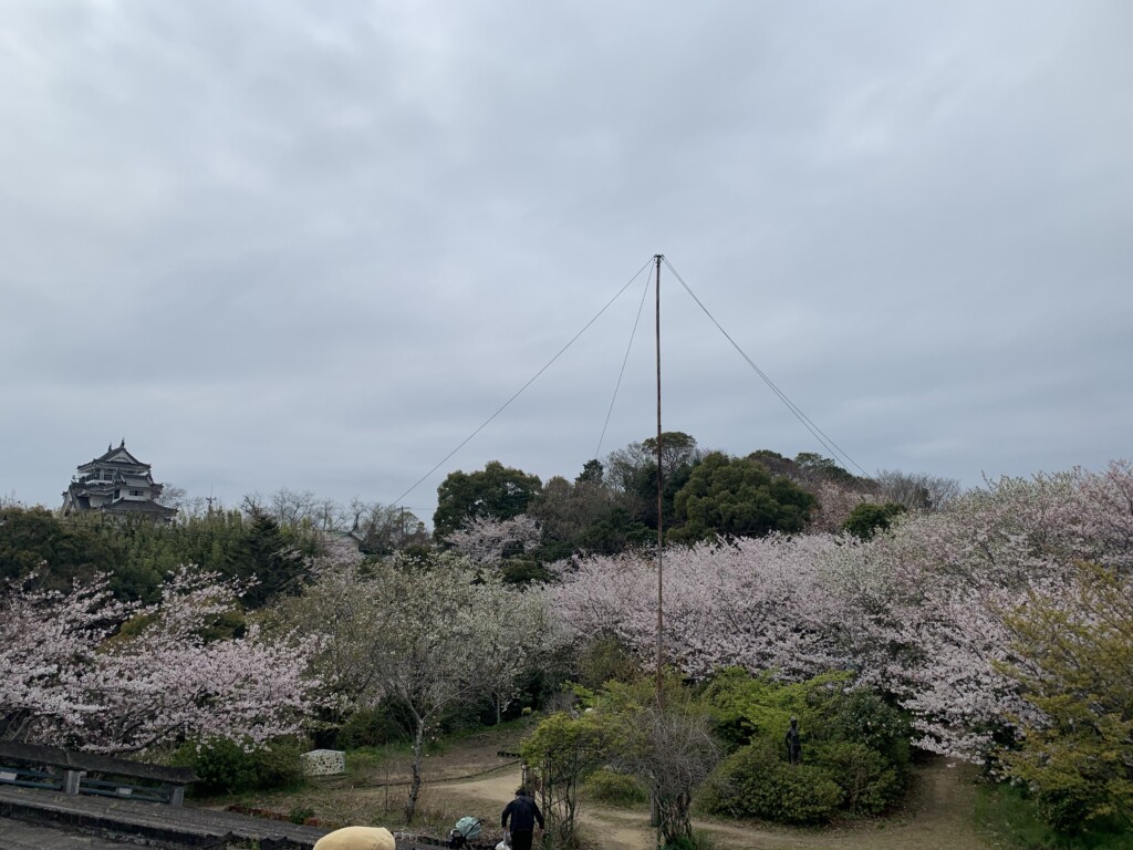 2022 岡崎城のさくら