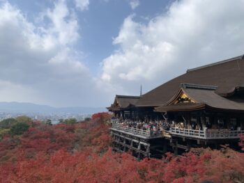 2023 京都紅葉 2日目