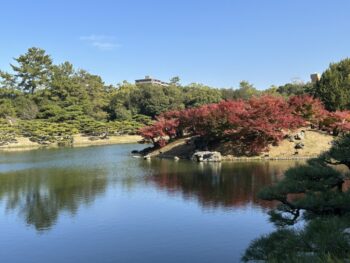 2025 紅葉 栗林公園